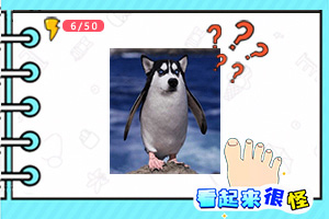 小孩桌面便签最新版会员登录入口
