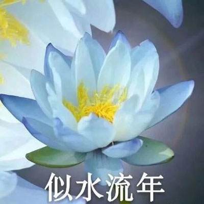 专栏数据备份获取方式