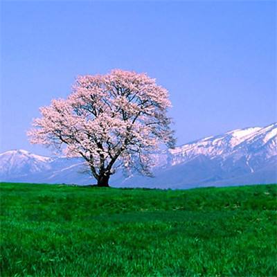 篮坛第一女神曾与王治郅传过绯闻 年近40岁仍没嫁人