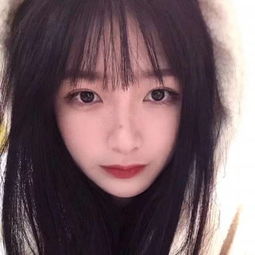 紫鸟移动助手官方版官方服务平台