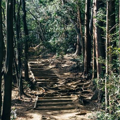 污视频软件下载企业版