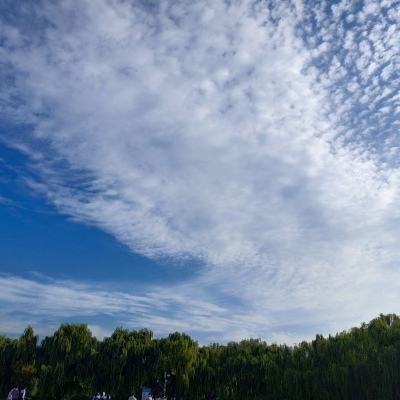 悟空图像网页版最新版2026年
