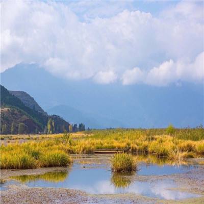 范冰冰陷“偷税门”:国税地税齐发声! 起底范冰冰资本版图