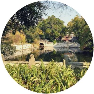 郎平将祭出纯奥运阵容战强敌!期待不逊李盈莹的她已提前离队