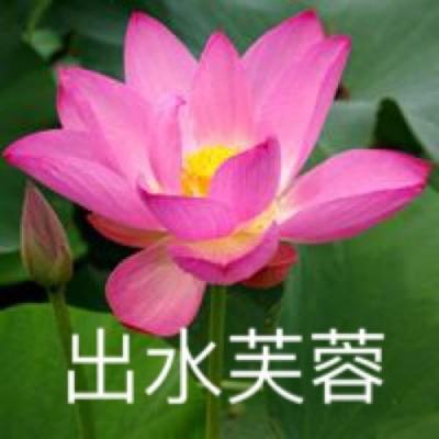 photoshop电脑软件v31.67.85综合版