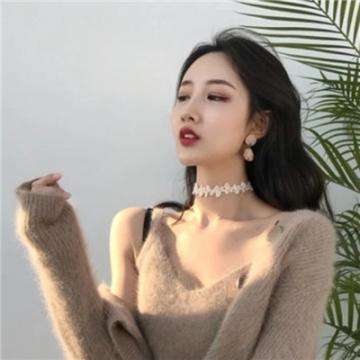 以商招商成广西靖西发展新引擎
